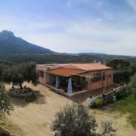 Villa L'Oleandro 奥列纳 外观 照片