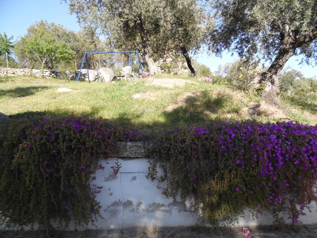 Villa L'Oleandro 奥列纳 外观 照片