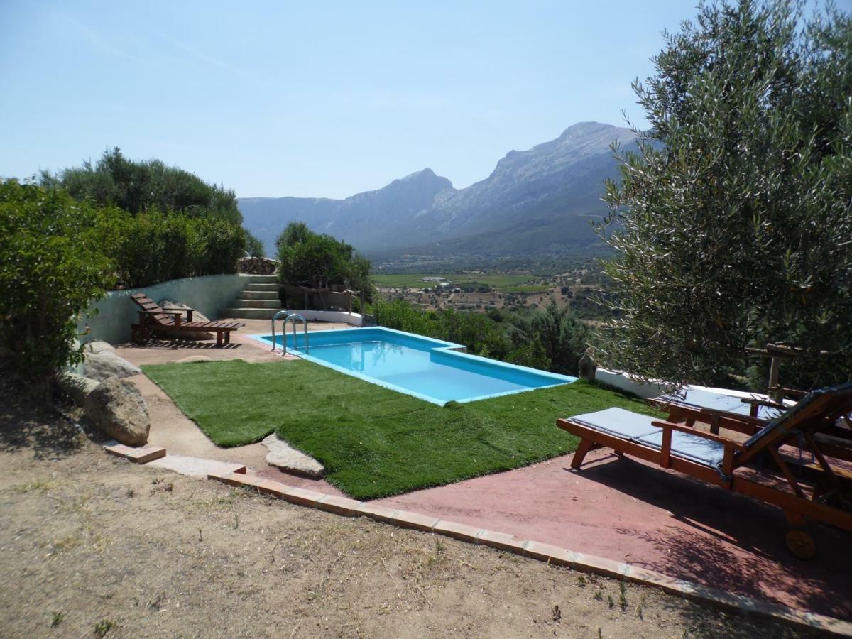 Villa L'Oleandro 奥列纳 外观 照片