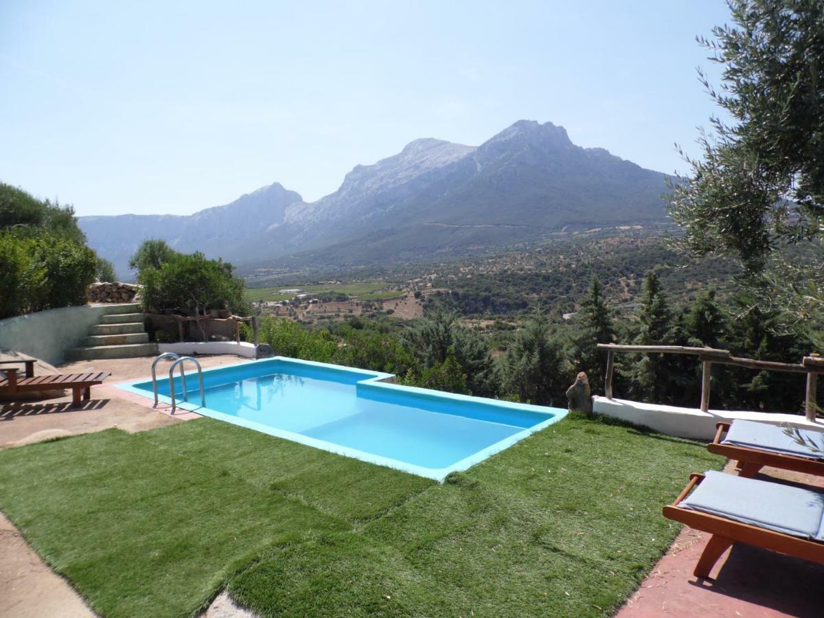 Villa L'Oleandro 奥列纳 外观 照片
