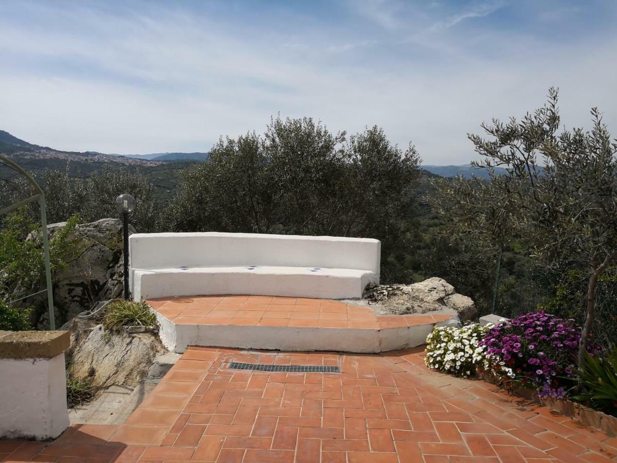 Villa L'Oleandro 奥列纳 外观 照片
