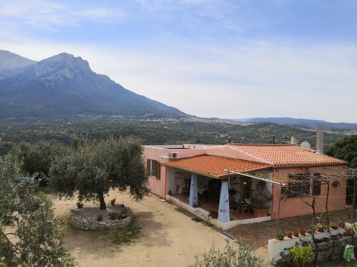 Villa L'Oleandro 奥列纳 外观 照片