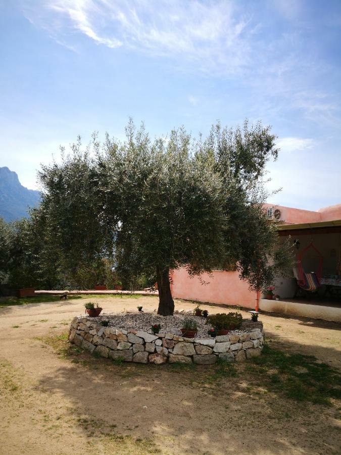 Villa L'Oleandro 奥列纳 外观 照片