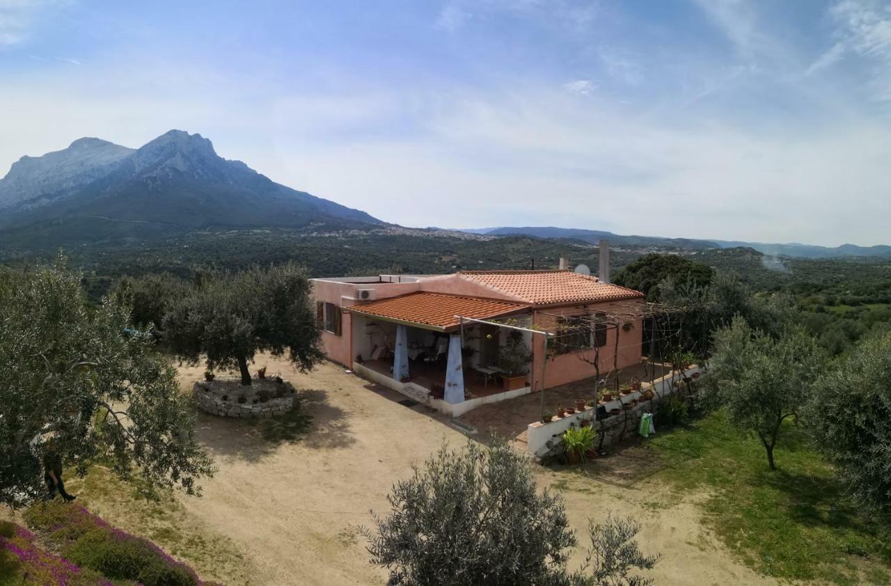 Villa L'Oleandro 奥列纳 外观 照片