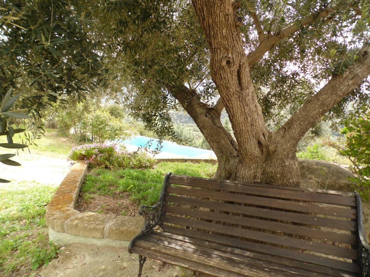 Villa L'Oleandro 奥列纳 外观 照片