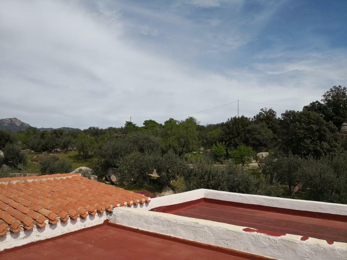 Villa L'Oleandro 奥列纳 外观 照片