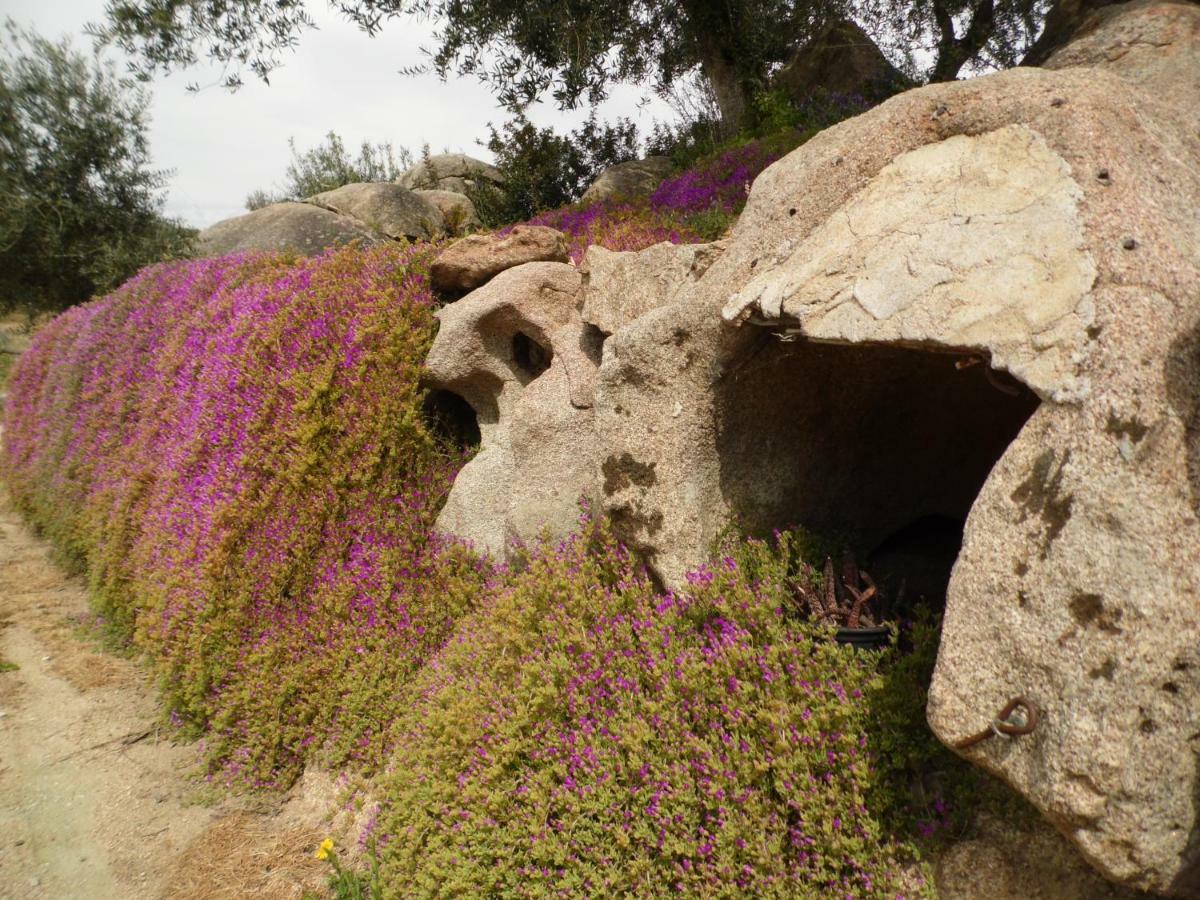 Villa L'Oleandro 奥列纳 外观 照片