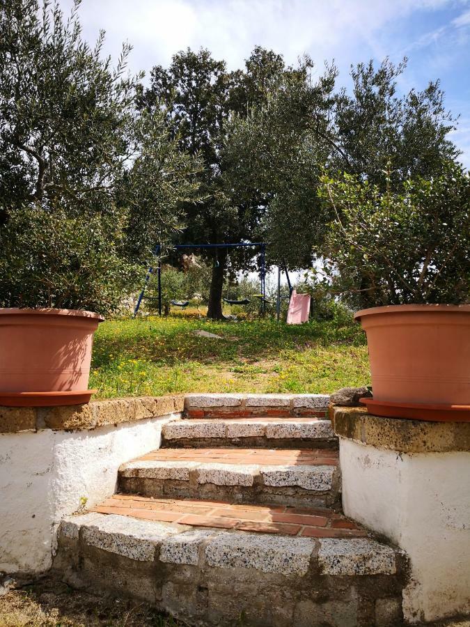 Villa L'Oleandro 奥列纳 外观 照片