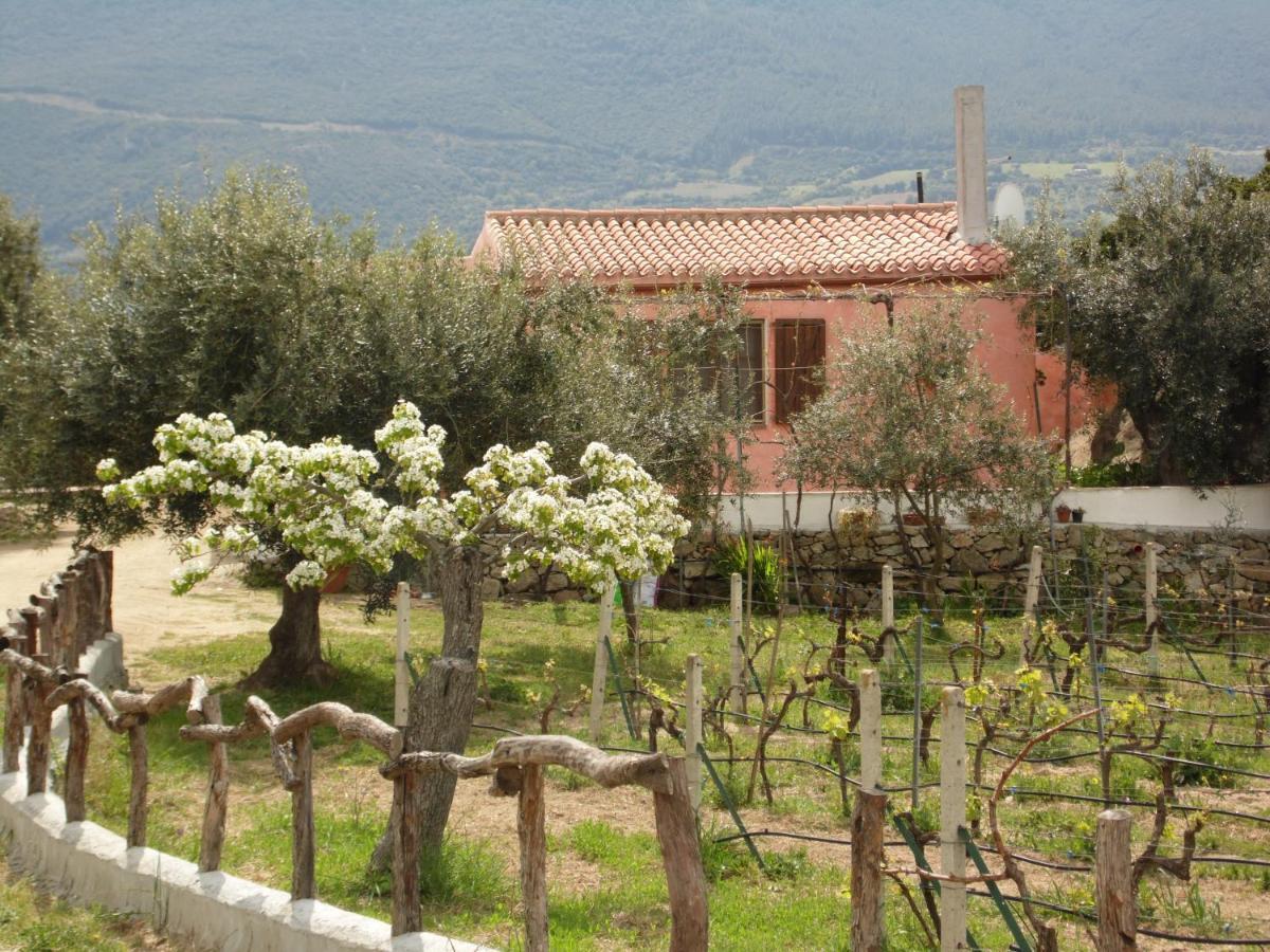 Villa L'Oleandro 奥列纳 外观 照片